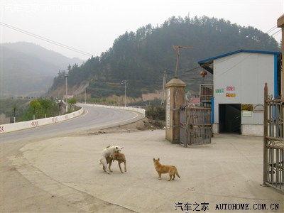 国产3p真实在线视频,揭秘私密生活瞬间