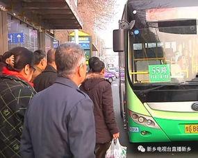 国产车新乡直播视频,探秘新乡制造，感受国货魅力