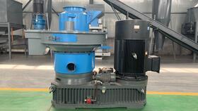 国产宠物机视频,智能互动，陪伴新选择