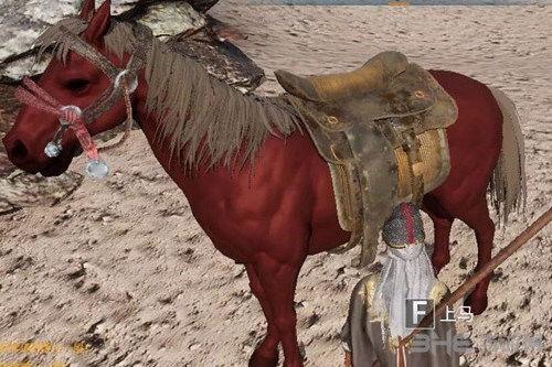 国产马匹种类介绍图解视频