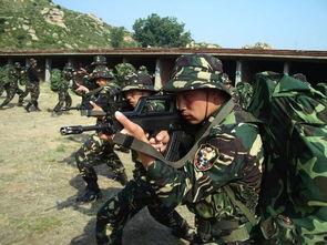 国产武警特种部队视频,铁血精英，捍卫国家安全