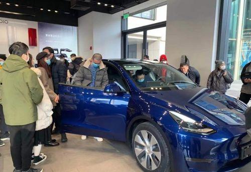 国产特斯拉比赛视频