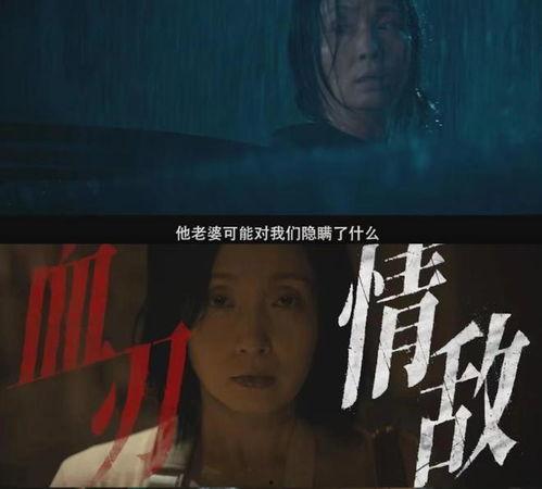 国产电影解说犯罪视频,国产犯罪电影深度解析