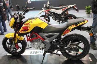 国产小黄龙视频,萌动江湖，笑料横生