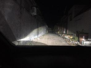 国产插洞视频在线看看