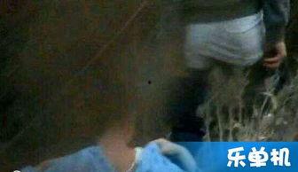 国产野战视频直播间