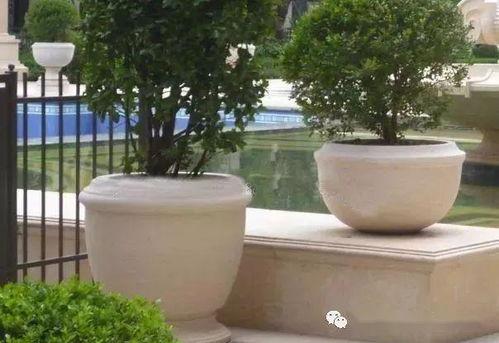 国产花盆评测视频大全集,品质与美学的完美融合